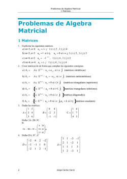 Problemas de matrices Dante