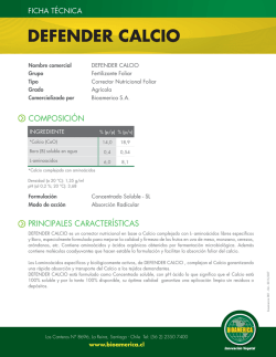 DEFENDER CALCIO