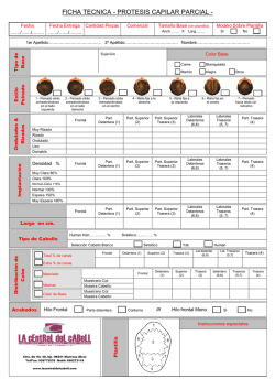 ficha tecnica - protesis capilar parcial