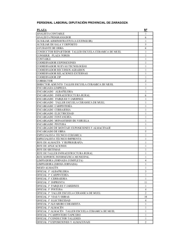 PERSONAL LABORAL - Diputaci&oacute;n Provincial de Zaragoza