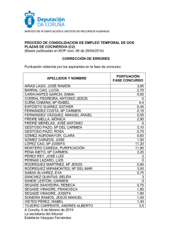 correcci&oacute;n errores fase concurso