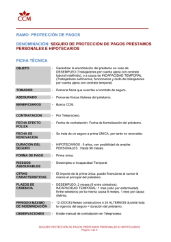 RAMO: PROTECCI&Oacute;N DE PAGOS DENOMINACI&Oacute;N: SEGURO DE