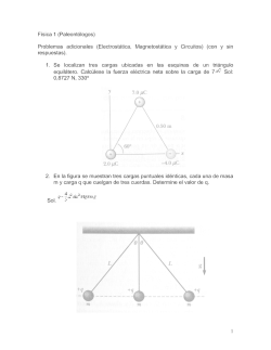 gu&iacute;a adicional.