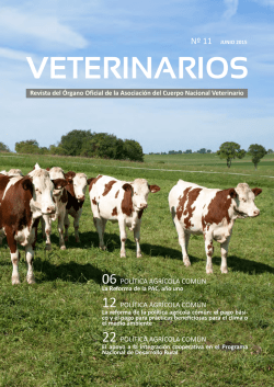 Revista VETERINARIOS n&uacute;mero 11