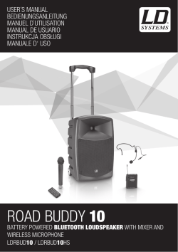 ROAD BUDDY 10