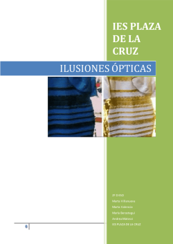 ies plaza de la cruz ilusiones &oacute;pticas - Zientzia-Azoka 2014-2015
