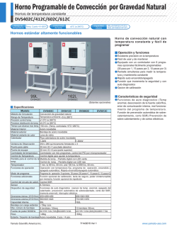 Horno Programable de Convecci&oacute;n por Gravedad Natural