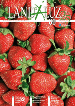 Descargar - Landaluz