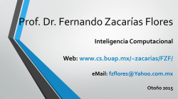 Prof. Dr. Fernando Zacar&iacute;as Flores