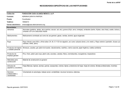 NECESIDADES ESPEC&Iacute;FICAS DE LAS INSTITUCIONES