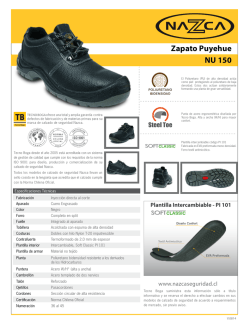 Zapato Puyehue NU 150