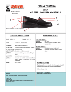 ficha t&eacute;cnica