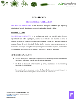 BIOSIEMBRA FORTALEZA