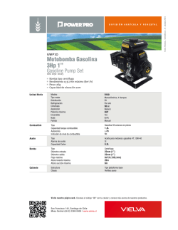 Ficha_tecnica_GWP10. Tama&ntilde;o