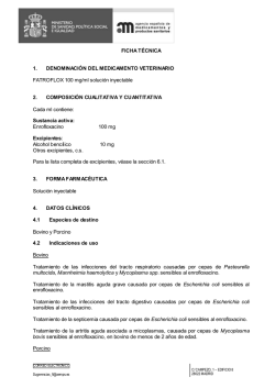 FICHA T&Eacute;CNICA FATROFLOX