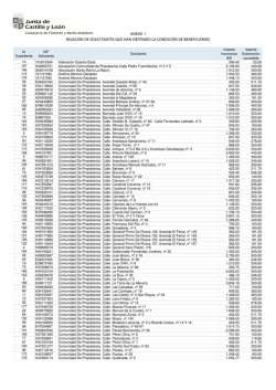 Anexo I DEFINITIVO ordenado por solicitante