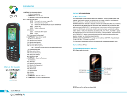 Introduccion Manual del Usuario