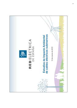 EIA cables submarinos - Asociaci&oacute;n espa&ntilde;ola de evaluaci&oacute;n de