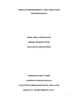 CEDE Consultores Organizacionales