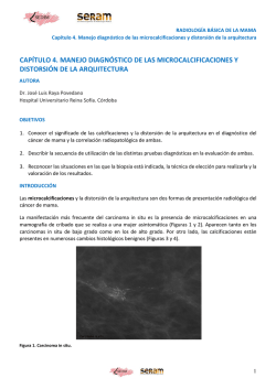 CAP&Iacute;TULO 4. MANEJO DIAGN&Oacute;STICO DE LAS