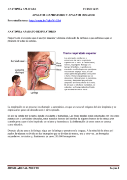 aparato fonador - IES Carlos Bouso&ntilde;o