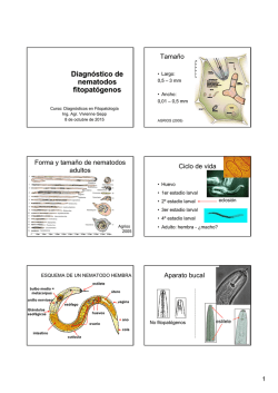 Diagn&oacute;stico de nematodos fitopat&oacute;genos