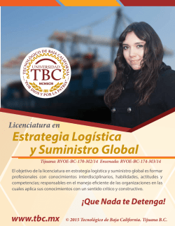 Estrategia Log&iacute;stica y Suministro Global