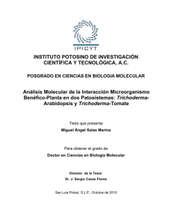 INSTITUTO POTOSINO DE INVESTIGACI&Oacute;N CIENT&Iacute;FICA Y