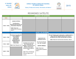 REUNIONES SAT&Eacute;LITE