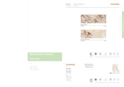 REVESTIMIENTO CER&Aacute;MICO WALL TILES 25 x 75 10&rdquo; x 30&rdquo;