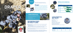 DRAPER copia