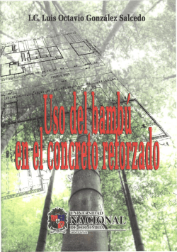 Uso del bamb&uacute; en el concreto reforzado - Editorial