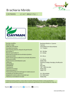 FICHA TECNICA CAYMAN 03