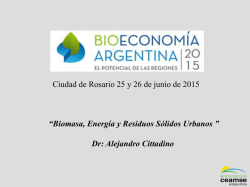Biomasa, energ&iacute;a y residuos s&oacute;lidos urbanos