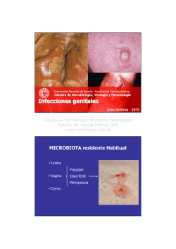 Infecciones genitales - C&aacute;tedra de Microbiolog&iacute;a, Virolog&iacute;a y