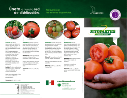 JITOMATES - hta de m&eacute;xico