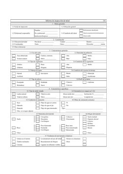 Plantilla Informe de Inspecci&oacute;n de Talud
