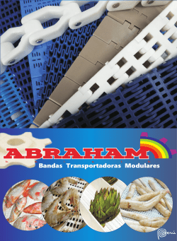 Bandas Transportadoras Modulares