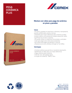 pega cer&aacute;mica plus