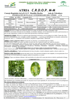 ATRIA C.R.D.O.P. M-M - Consejo Regulador Montilla