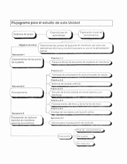 Flujograma para el estudio de esta Unidad