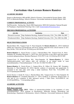 Curriculum vitae Lorenzo Romero Ram&iacute;rez