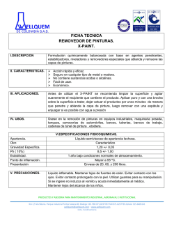 FICHA TECNICA REMOVEDOR DE PINTURAS. X
