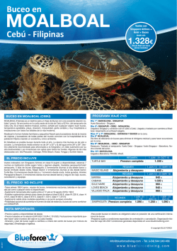 MOALBOAL - Blue Force Diving