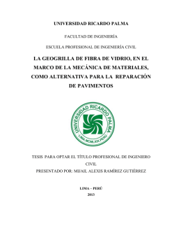 LA GEOGRILLA DE FIBRA DE VIDRIO, EN EL