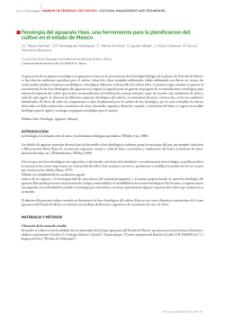 Fenolog&iacute;a del aguacate Hass, una herramienta para la planificacion