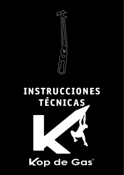 INSTRUCCIONES T&Eacute;CNICAS