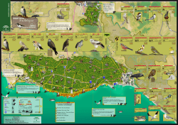 Mapa-guia en  (4,1 MB, baja resoluci&oacute;n)