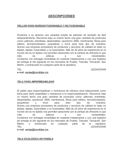 DESCRIPCI&Oacute;NES