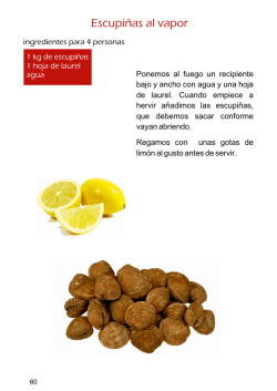 Descarga en PDF Escupi&ntilde;as al vapor